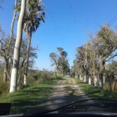 Los caminos del loteo norte quedaron sin mantenimiento desde marzo